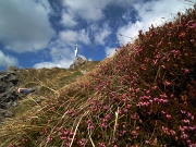 CORNO ZUCCONE (1458 m.) , guardiano della Val Taleggio (17 aprile 2012)  - FOTOGALLERY